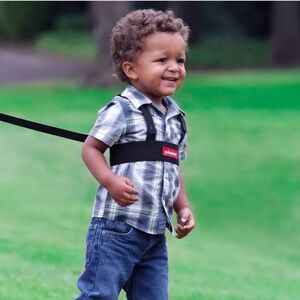 Diono toddler harness. Like new.